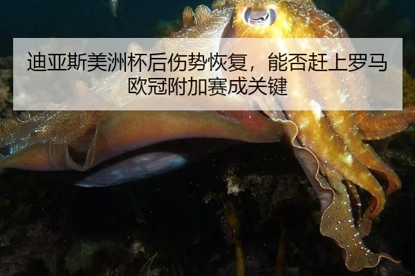 迪亚斯美洲杯后伤势恢复，能否赶上罗马欧冠附加赛成关键