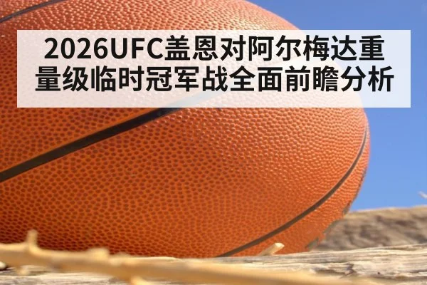 2026UFC盖恩对阿尔梅达重量级临时冠军战全面前瞻分析